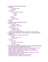 Anatomy and Physiology I