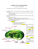 BIOL-Chapter Ten notes