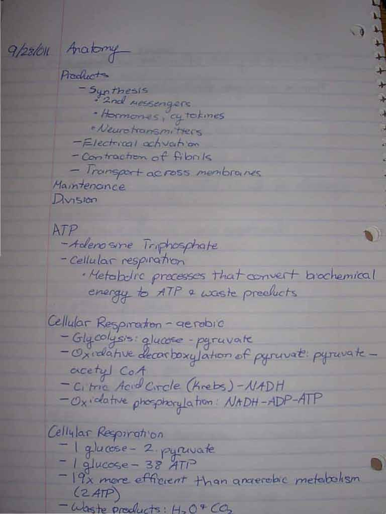 EquineManagementScience