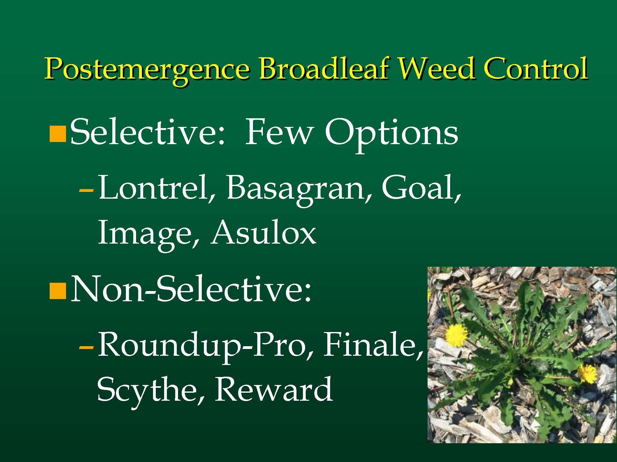 WEED CONTROL LAB