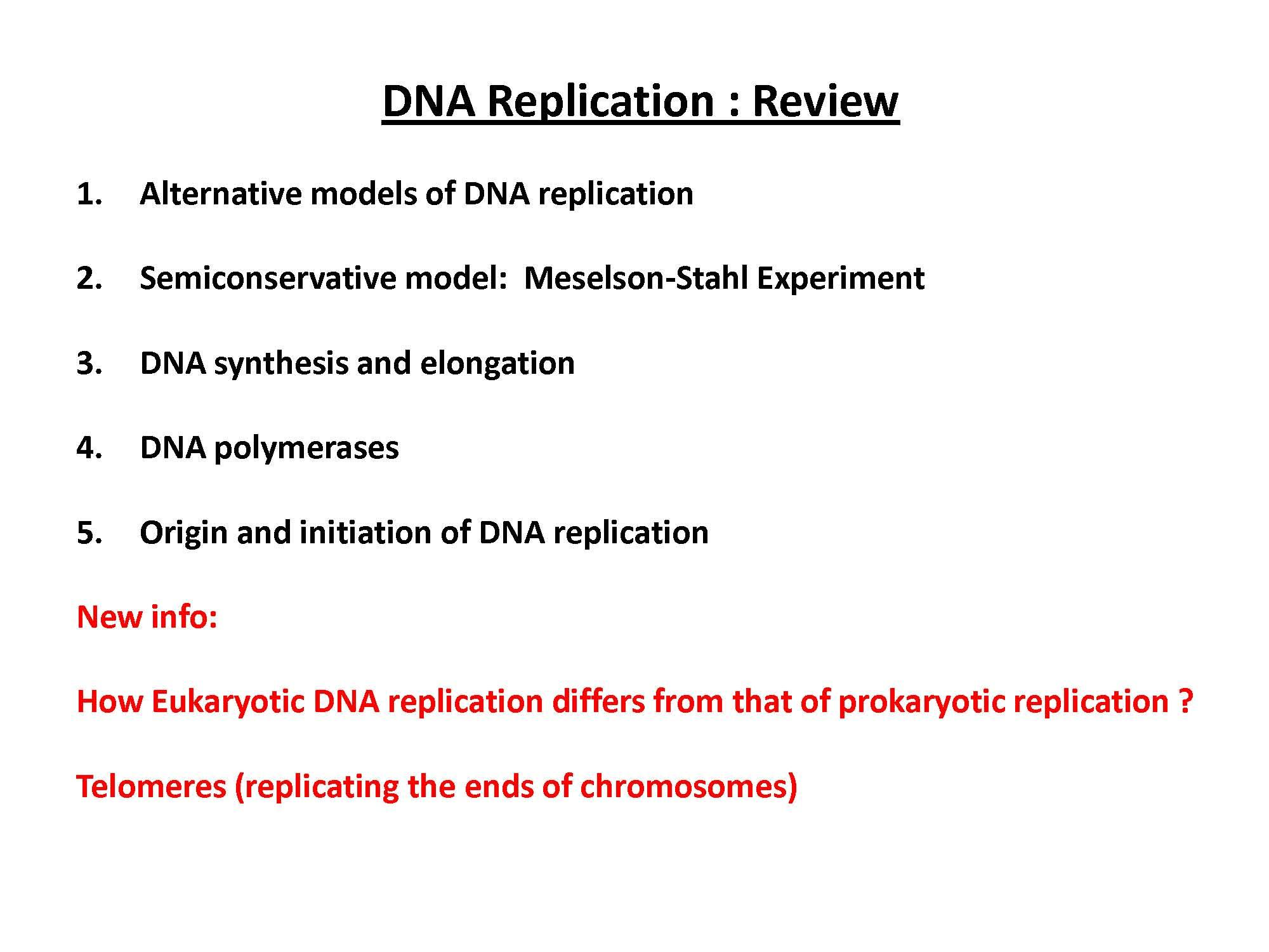 Molecular Biology I