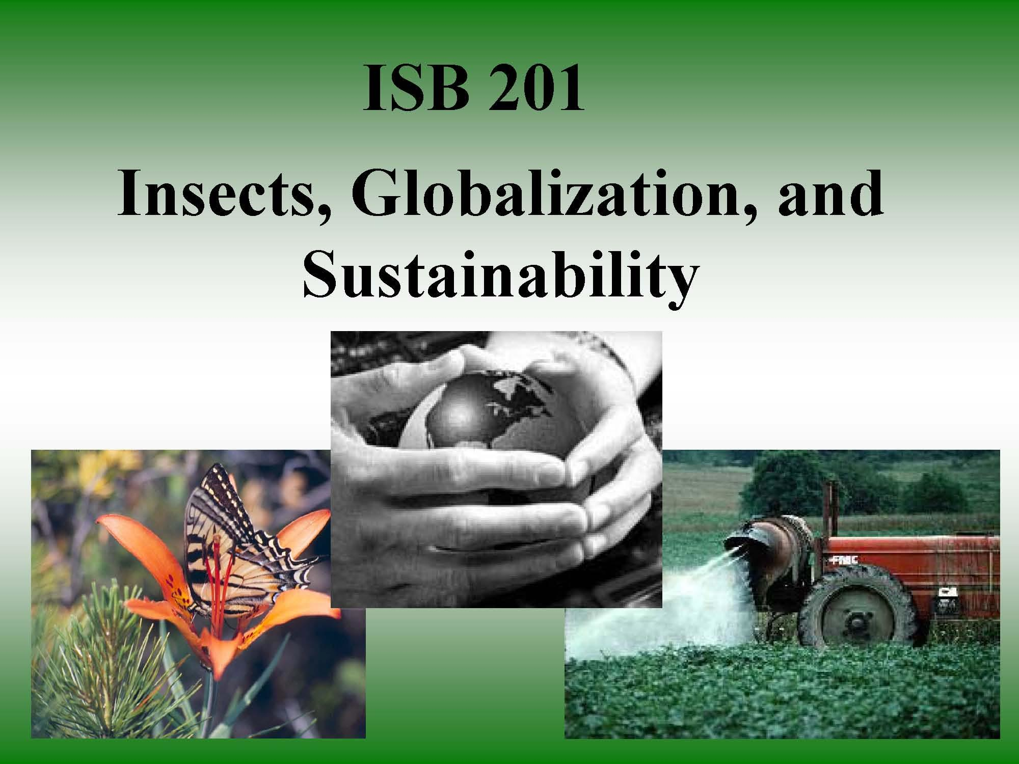 Insects, Global, & Sustain