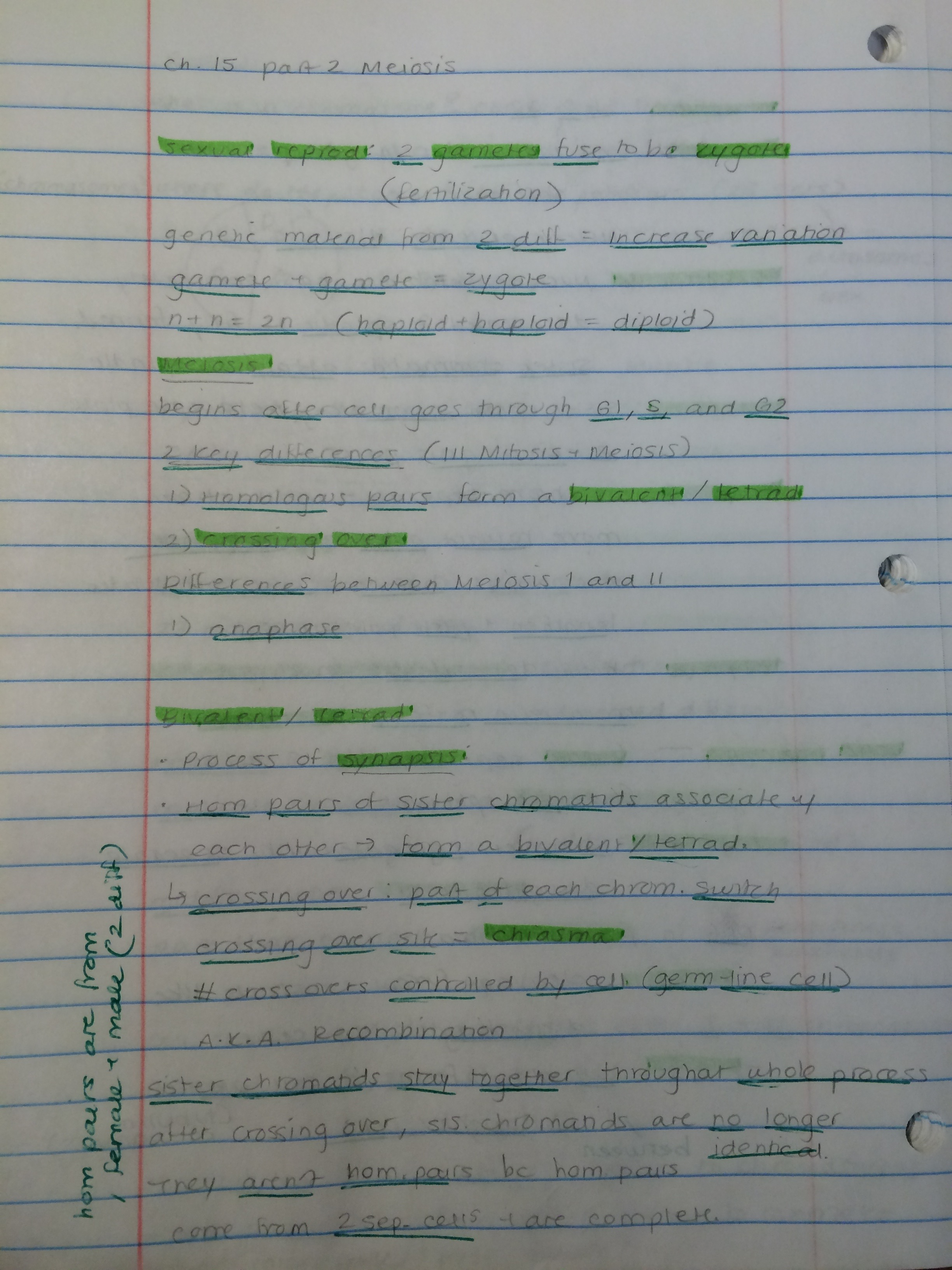 Ch.15 Mitosis- Meiosis
