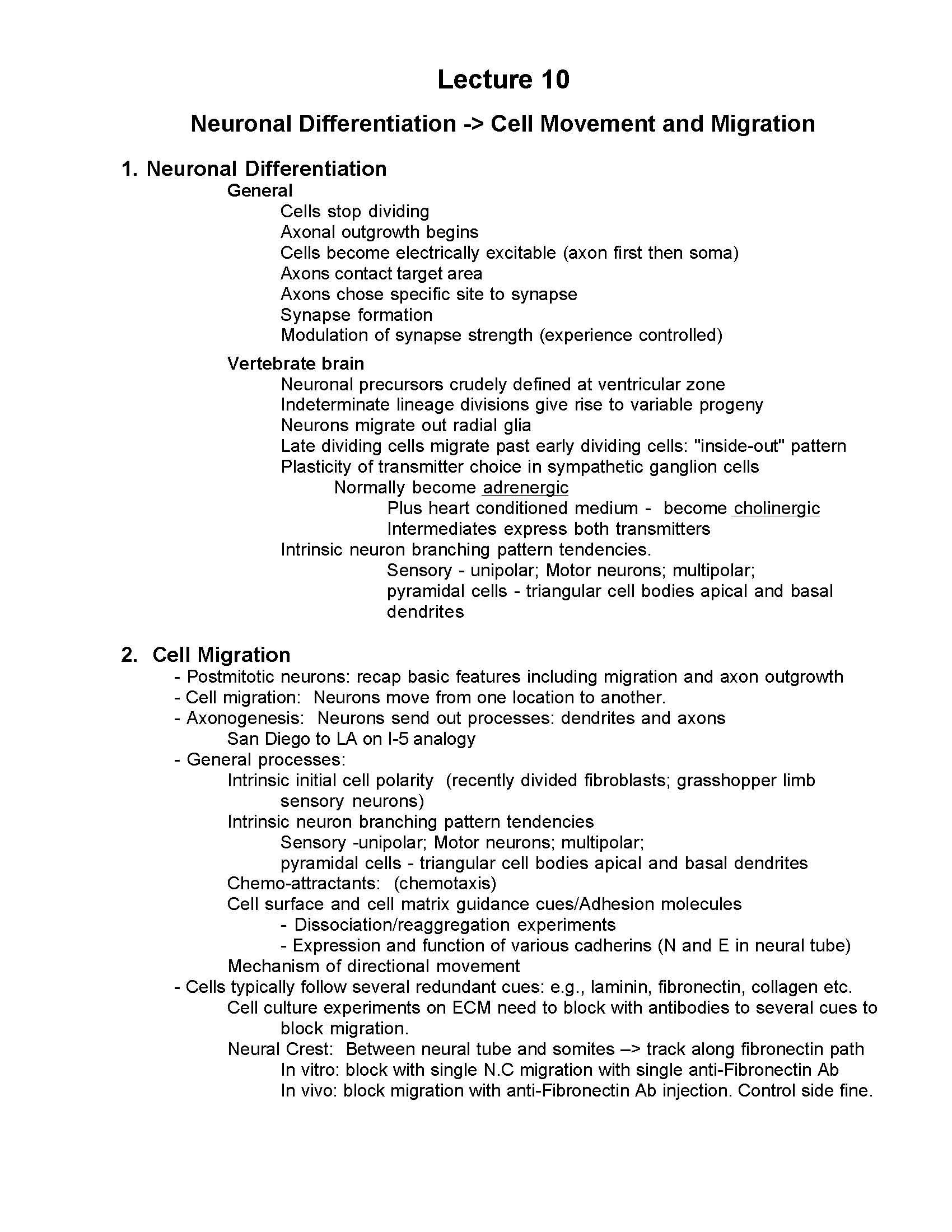Developmental Neurobiology