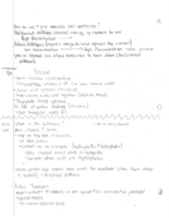 notes week 5