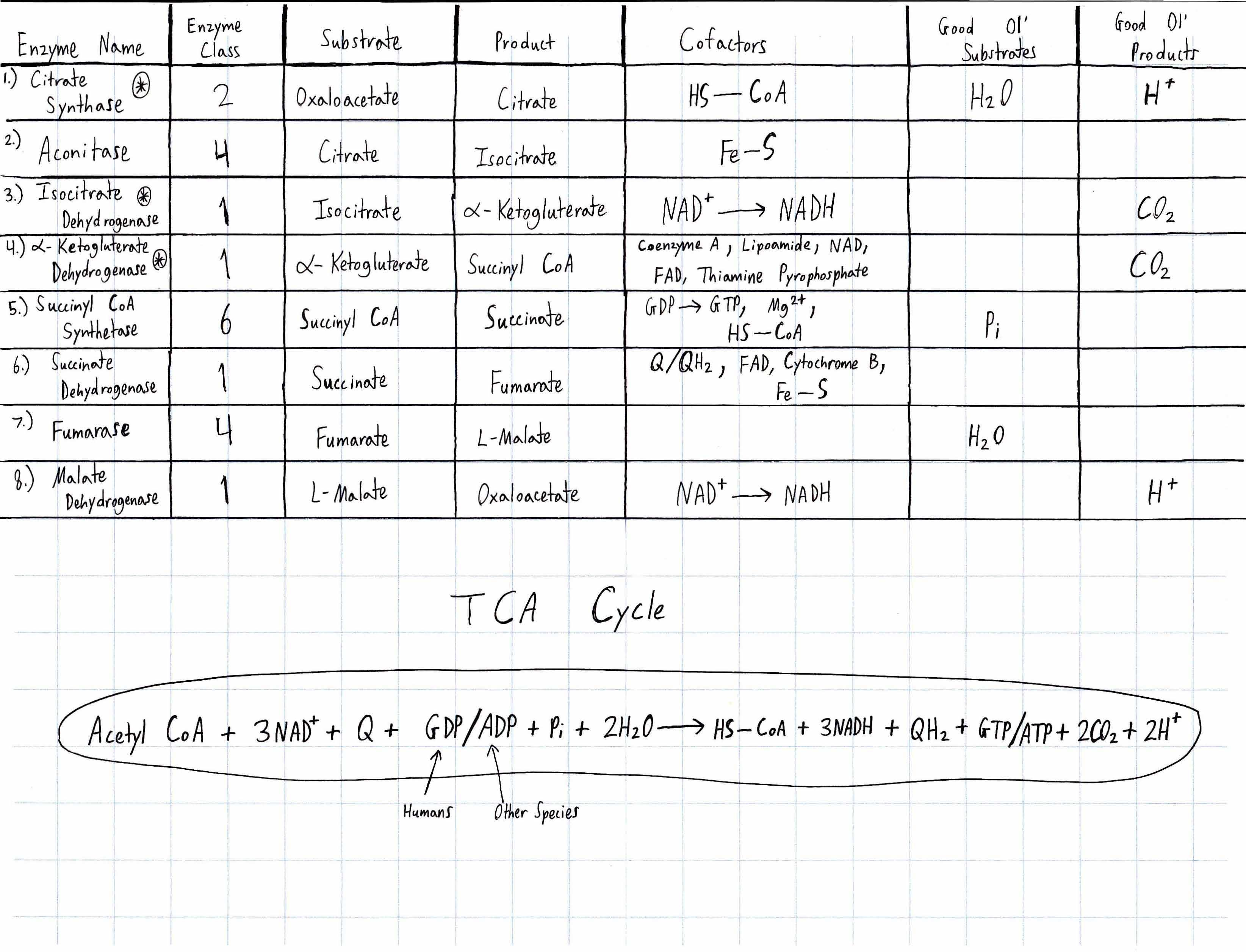 Principles of Biochemistry