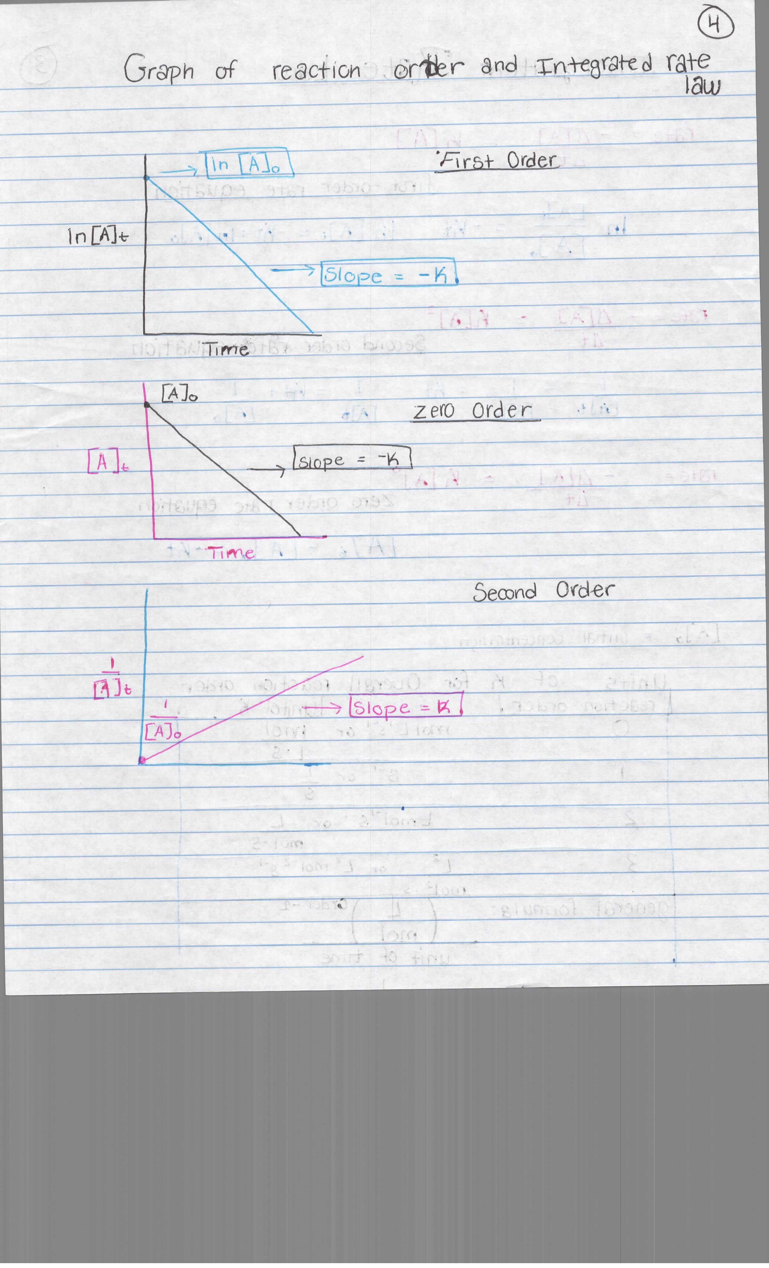 Exam 2 Study Guide 