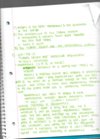 Week 8: New Empires- Charlemange & the Islamic World