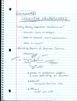 Week 2 Lecture and Quiz Section Notes