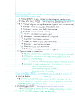 Lecture 11-13 Notes 