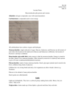 Chapter 4 Lecture Notes
