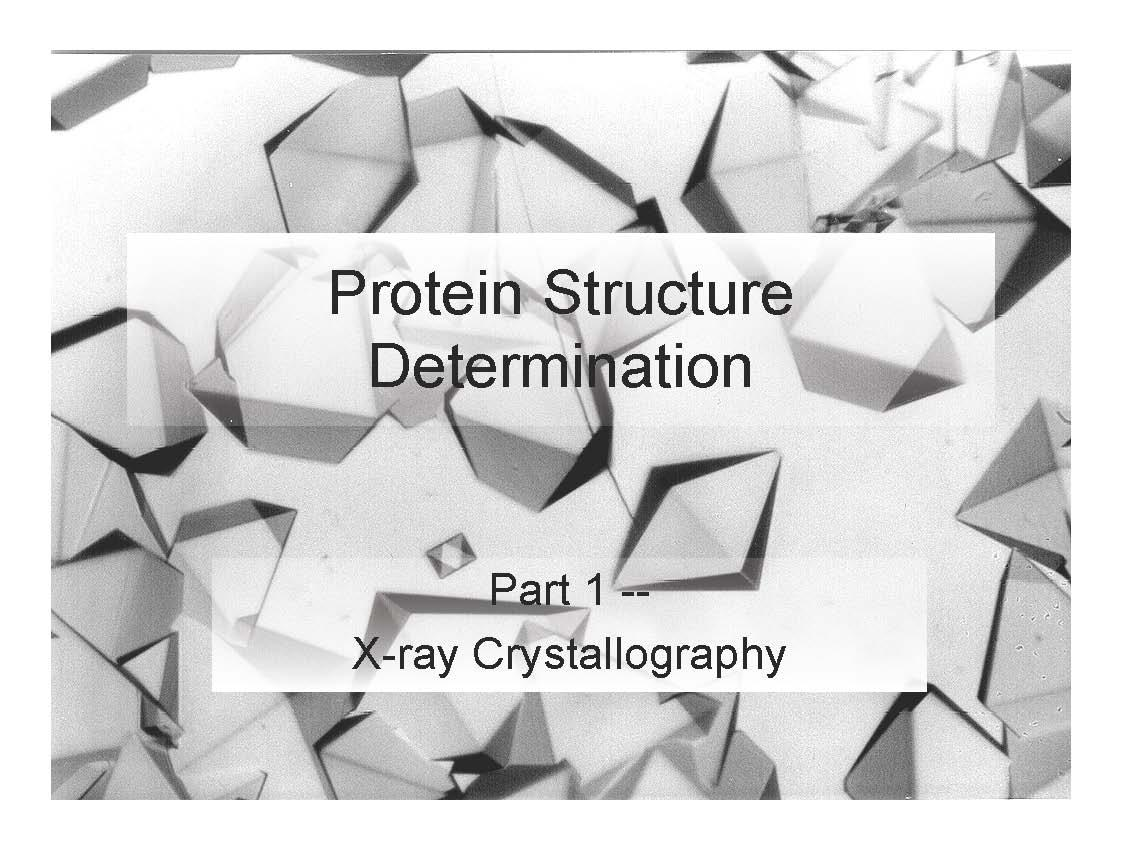 PROTEIN STRUCTURE DETERMIN