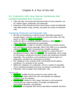 General Biology 121- Chapter 6: A Tour of the Cell