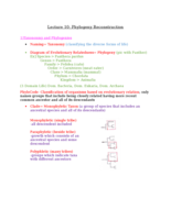 Bio Lecture 10: Phylogeny Reconstruction 