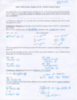 Preliminary Objectives- Objective 1