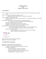 Chapter12.pdf