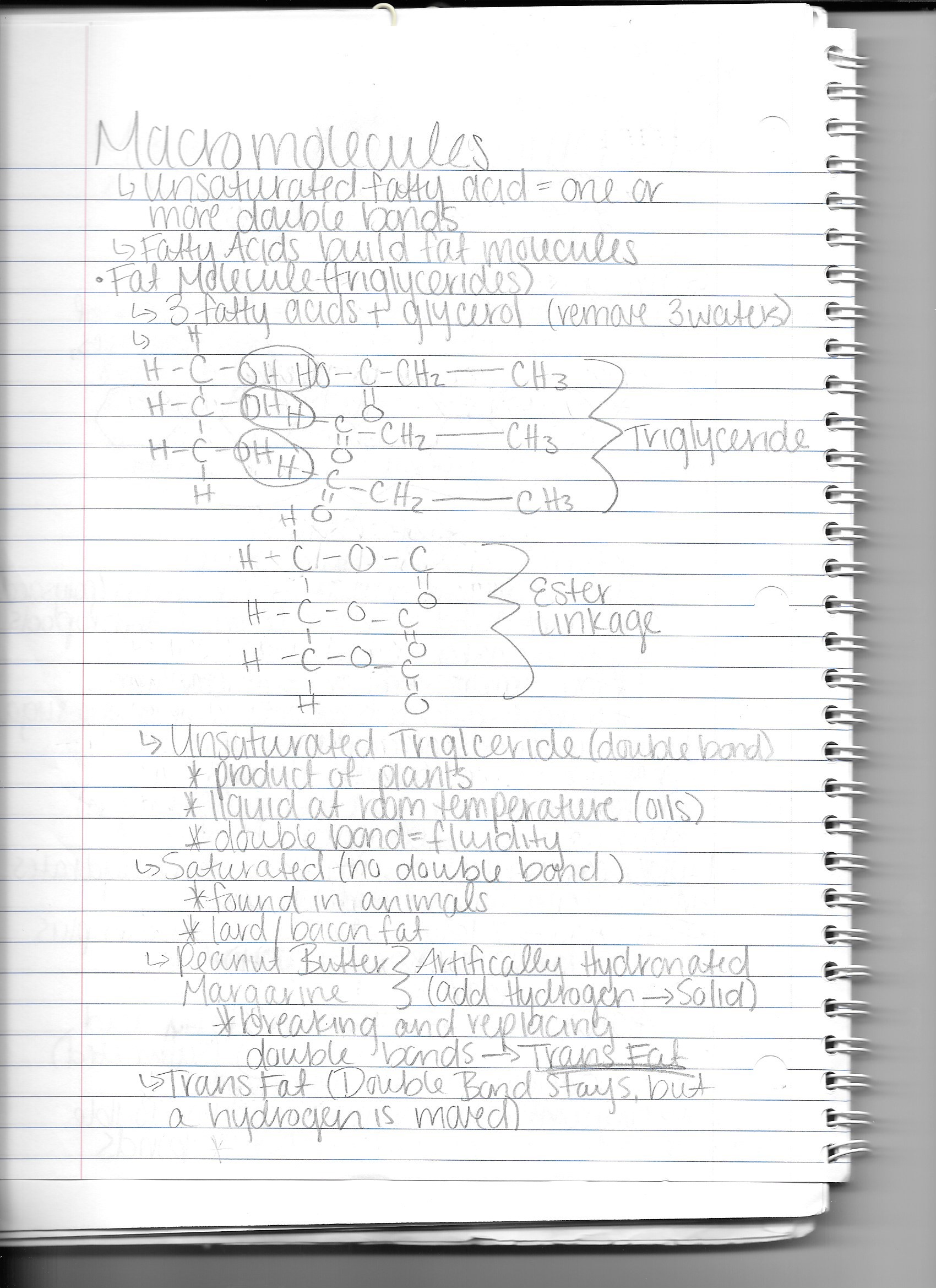 8/31/15-9/4/15 (Biology)