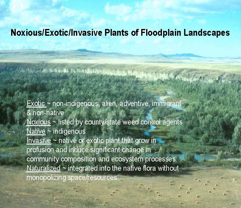 Riparian Ecology and Management