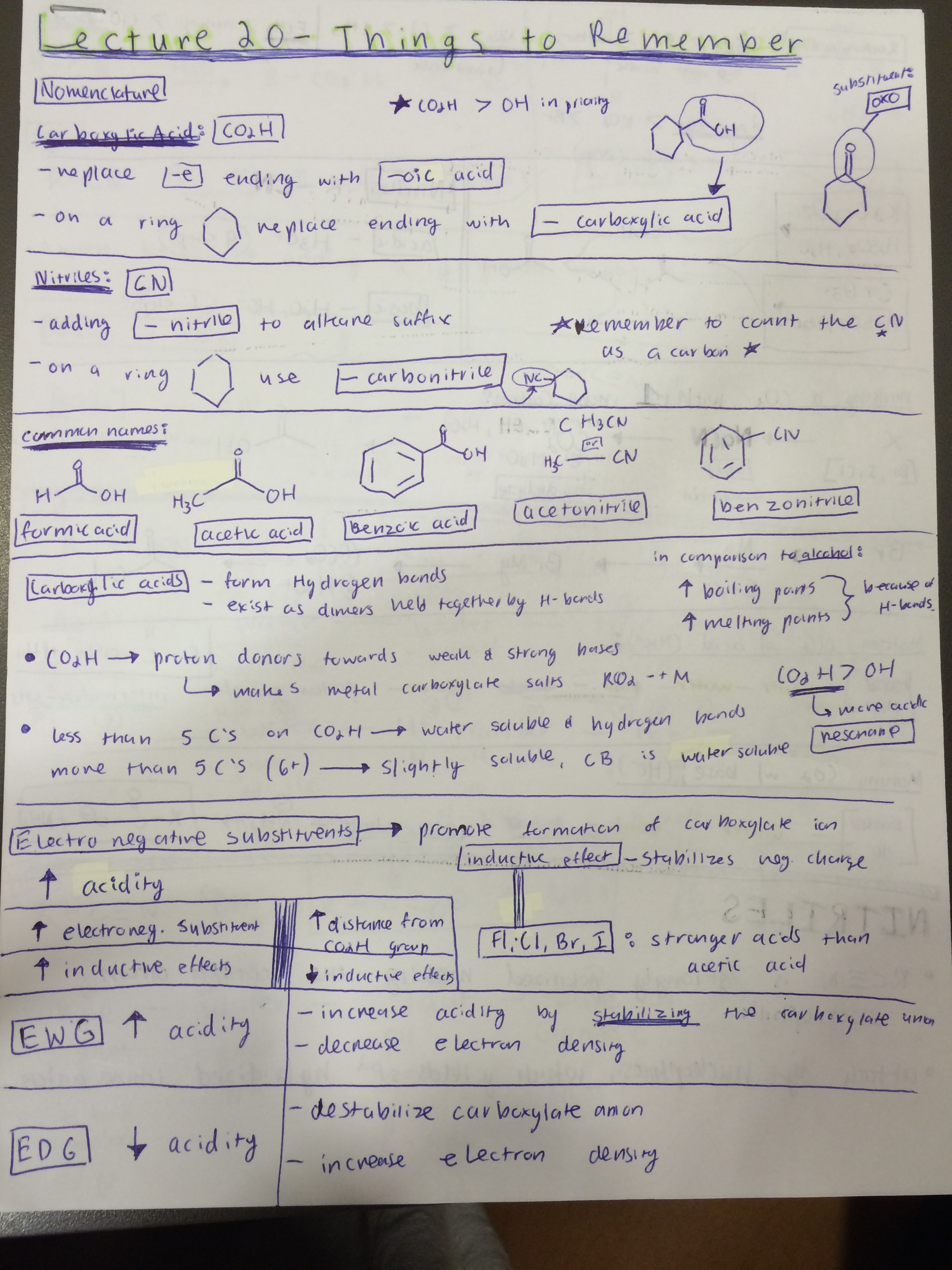 Chapter 20 Study Guide