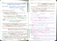 PSY-0022 Emotion: Brain Mechanisms of Emotion