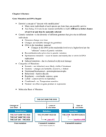 Exam 2 notes 