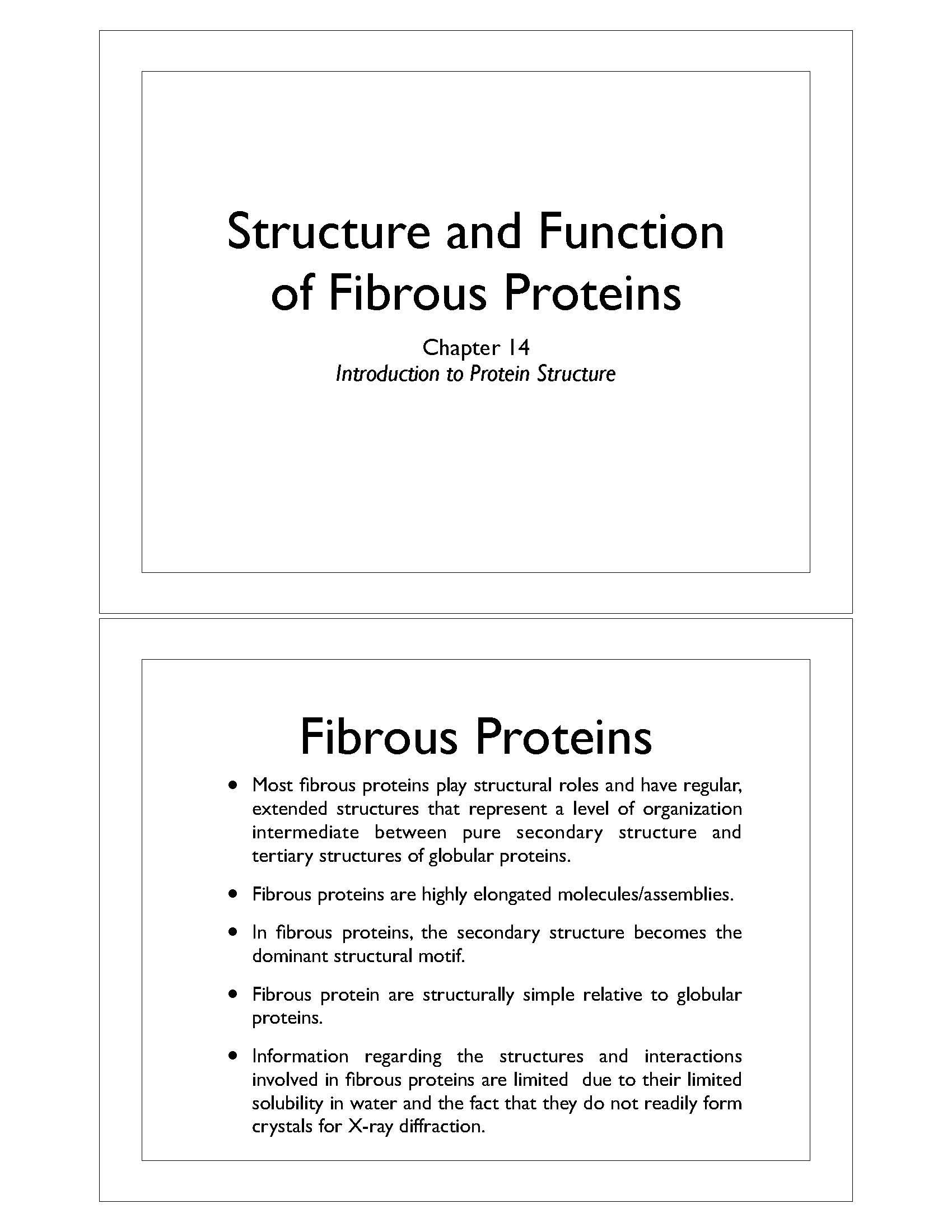 Protein Biochemistry