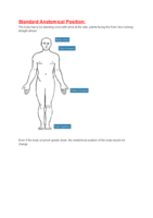 Anatomy and Physiology Set 2 of 13