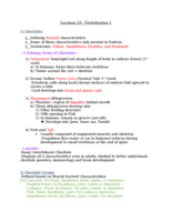 Bio Lecture 21: Vertebrates 1