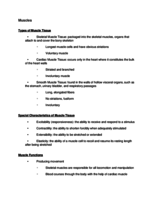 Muscles Notes