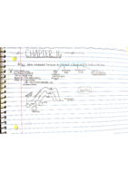 Ch. 16 Notes