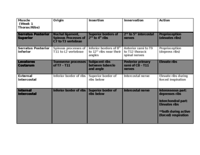 Muscle Chart (Thorax)