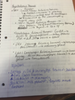 notes from 11/30-12/4