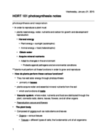 HORT 101 Photosynthesis Notes