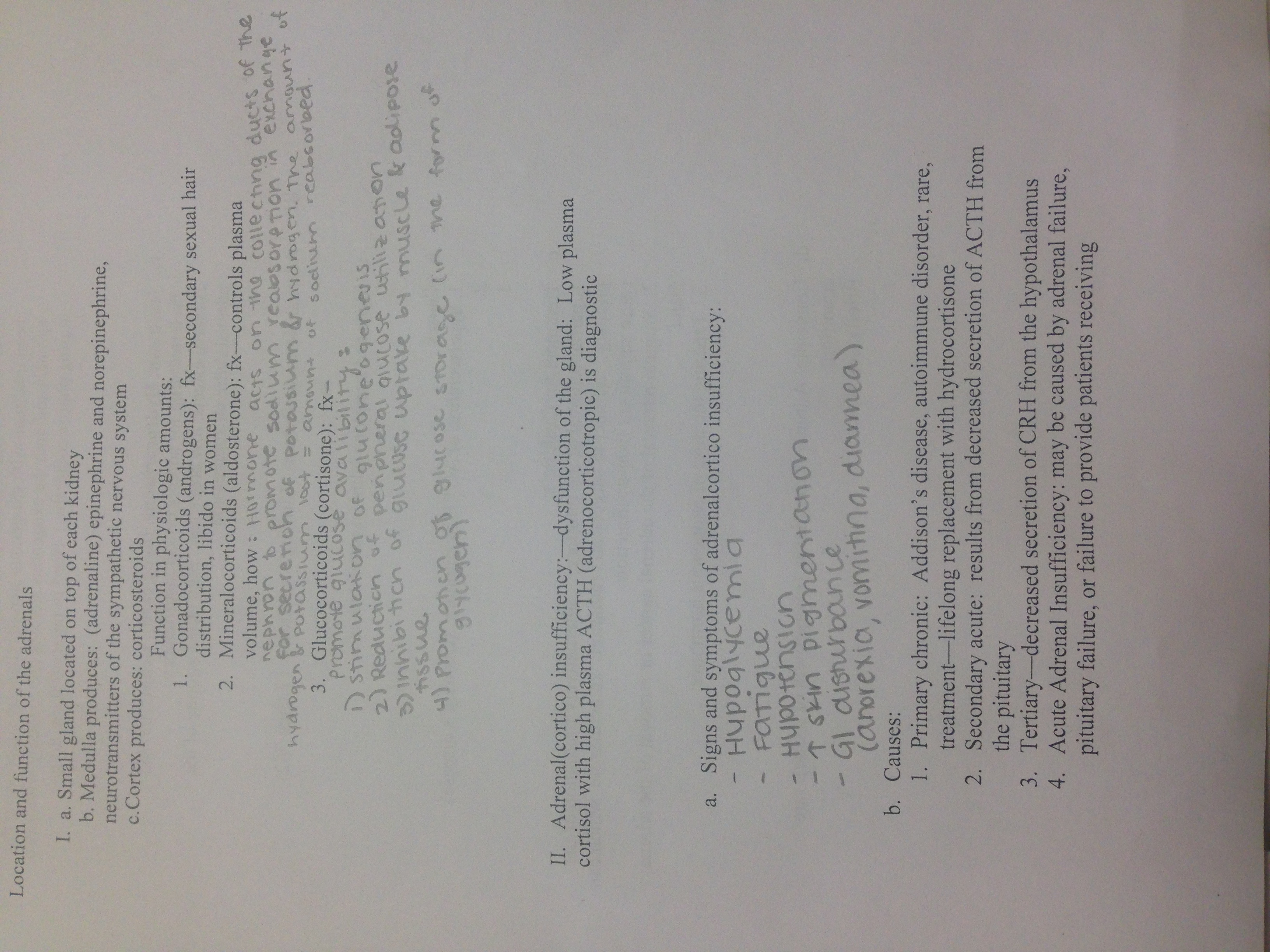 Patho Final Review Study Guide