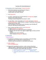 Bio Lecture 20: Invertebrates 2