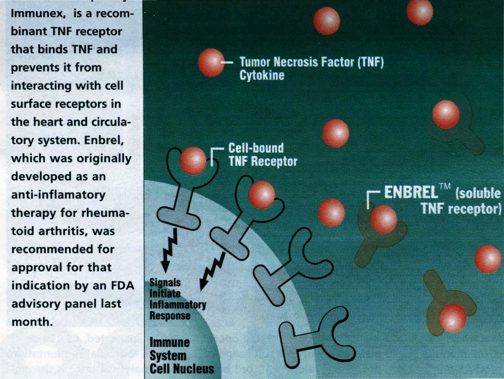 Protein Biotechnology