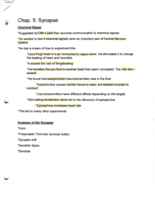 Brain and Behavior-Study Guide-Exam 2