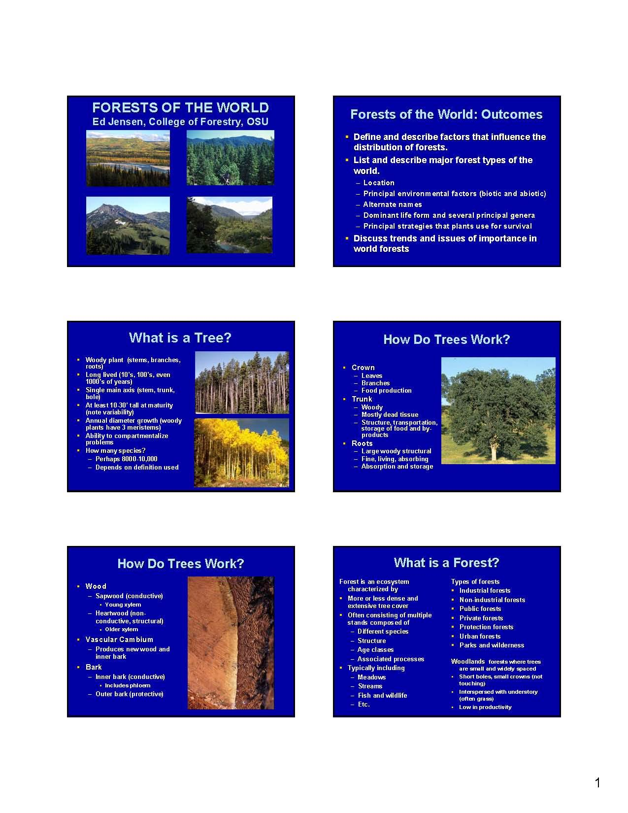 TREE AND SHRUB IDENTIFICATION