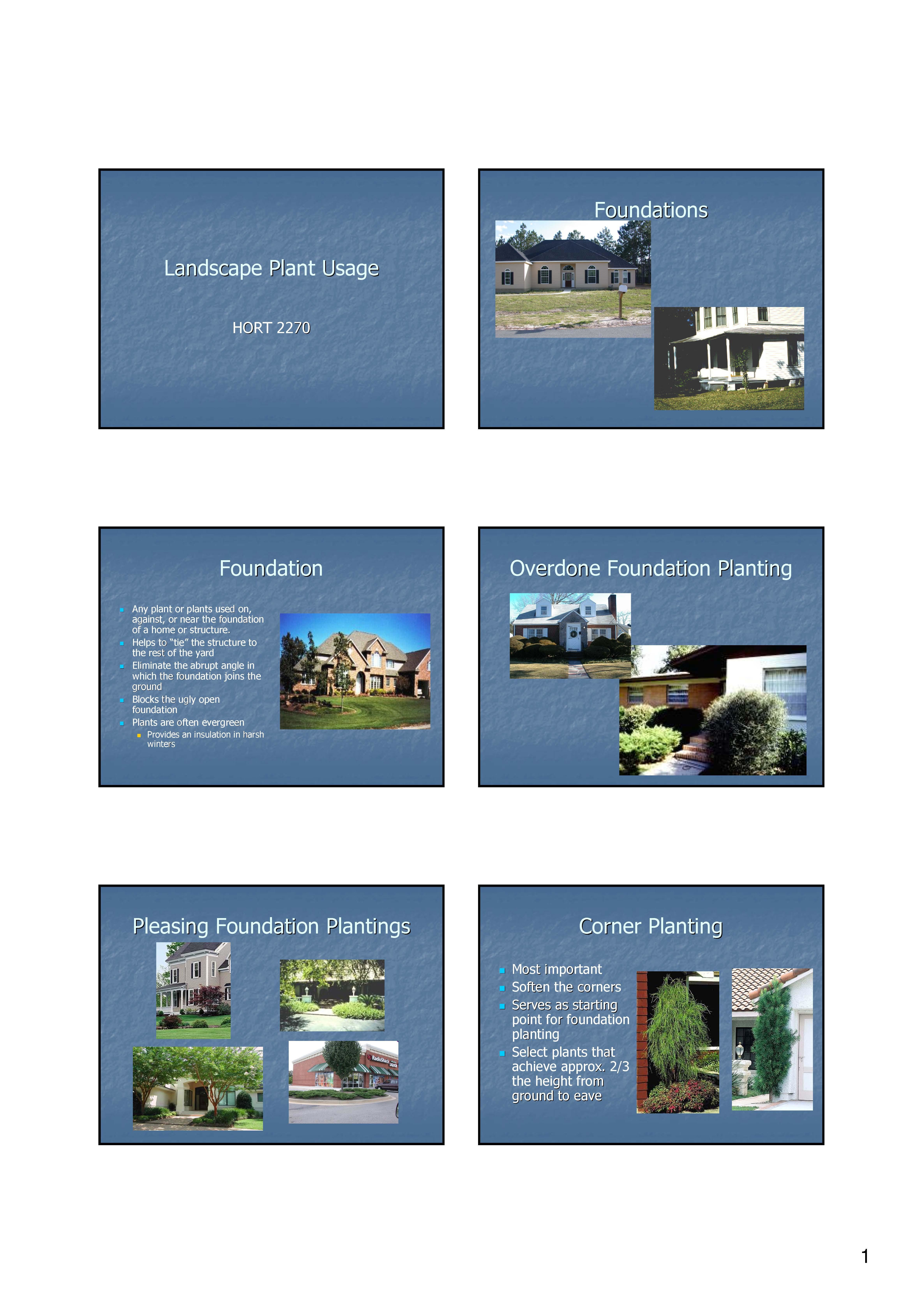 Woody Ornamental Plant Identif