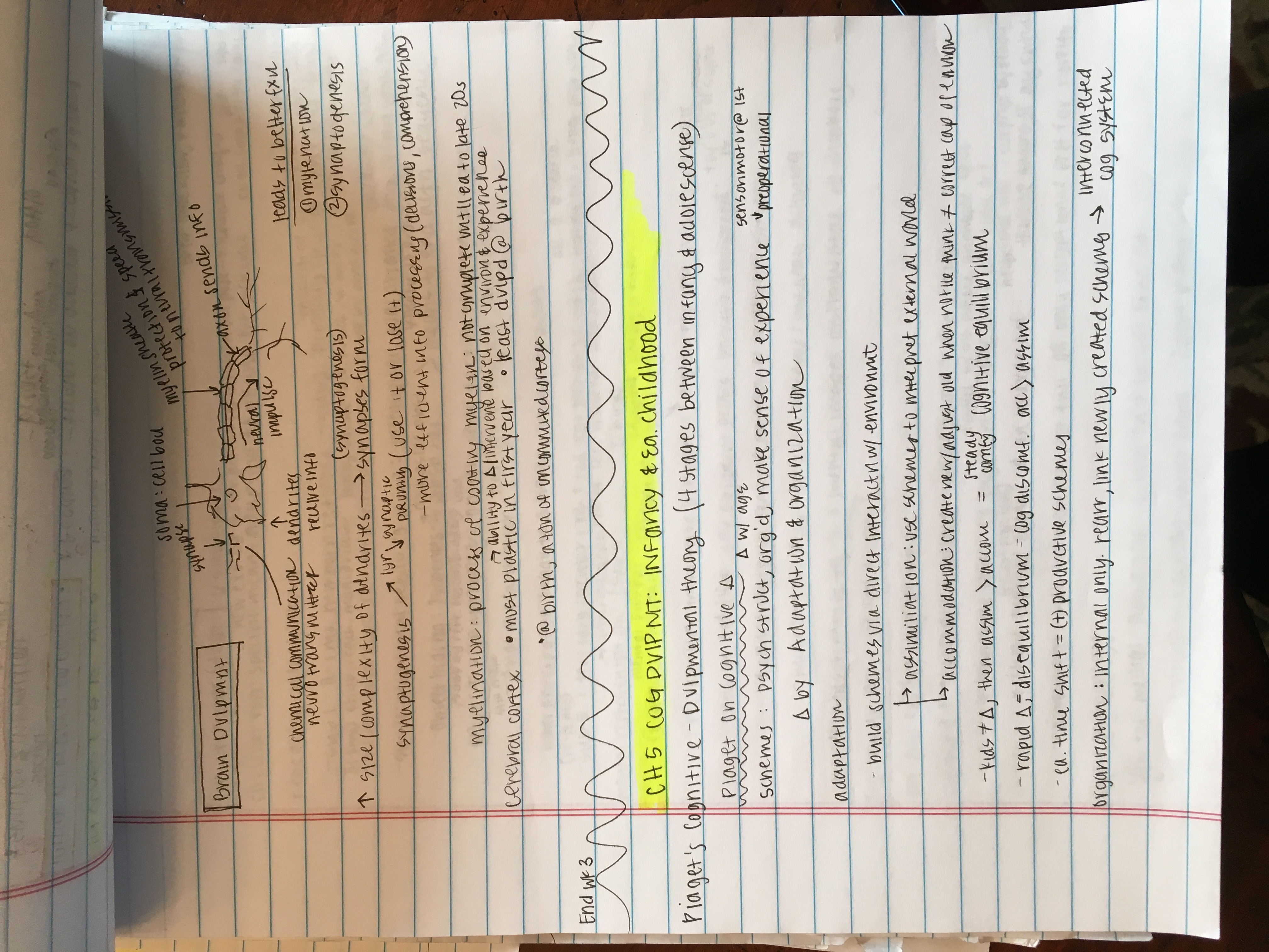 PSYC 202 WK 4