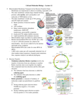 Lecture 12 Notes - Chemiosmosis
