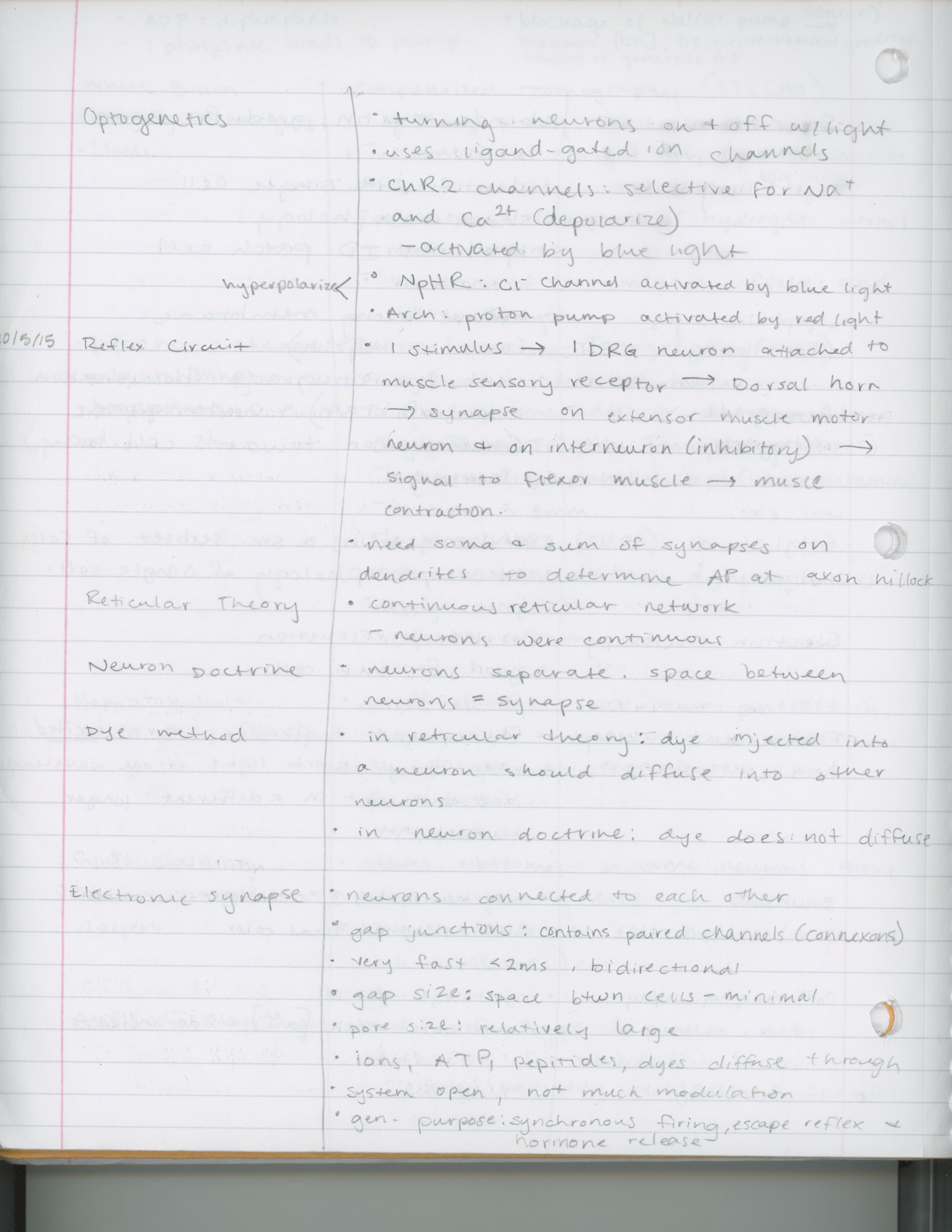 Week 5- Intro to Neurobiology 1 Notes