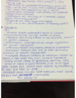 BSCI222/DR. KOCHER: Chapters 9-11 Lectures 10/6, 10/13, 10/15
