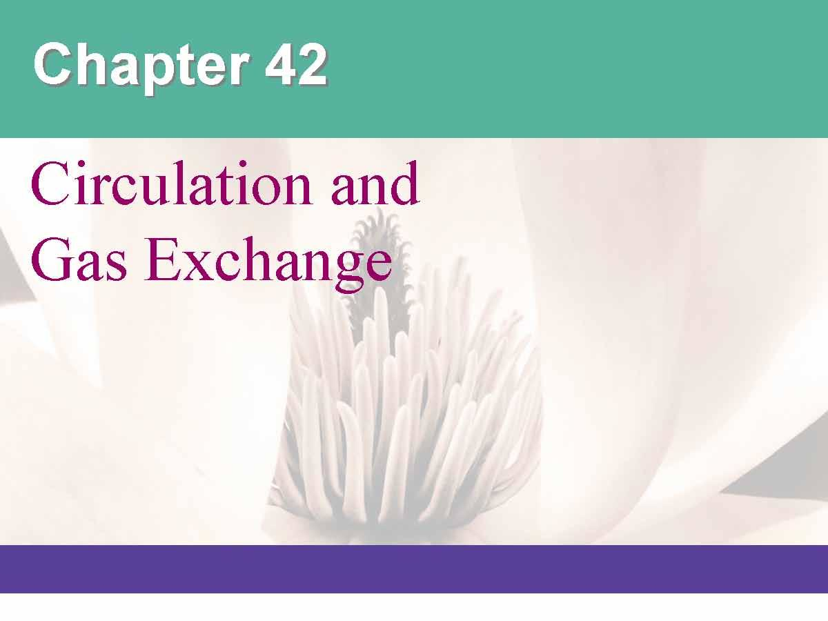 Mod Concpts Biosci Cont HONORS