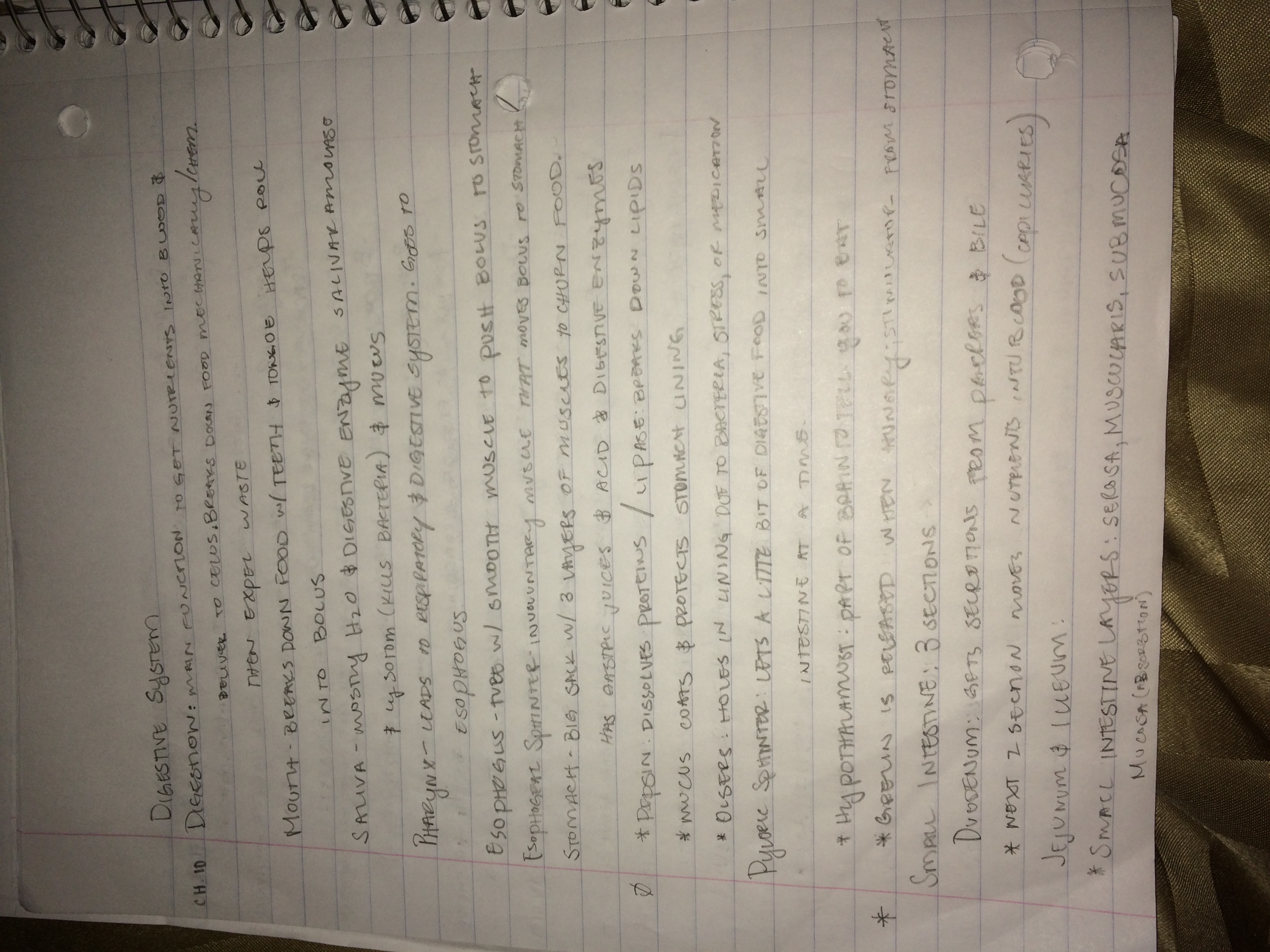 Bio Study Guide Notes