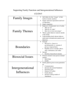 SupportingFamilyFunctionsandIntergenerationalInfluences.pdf