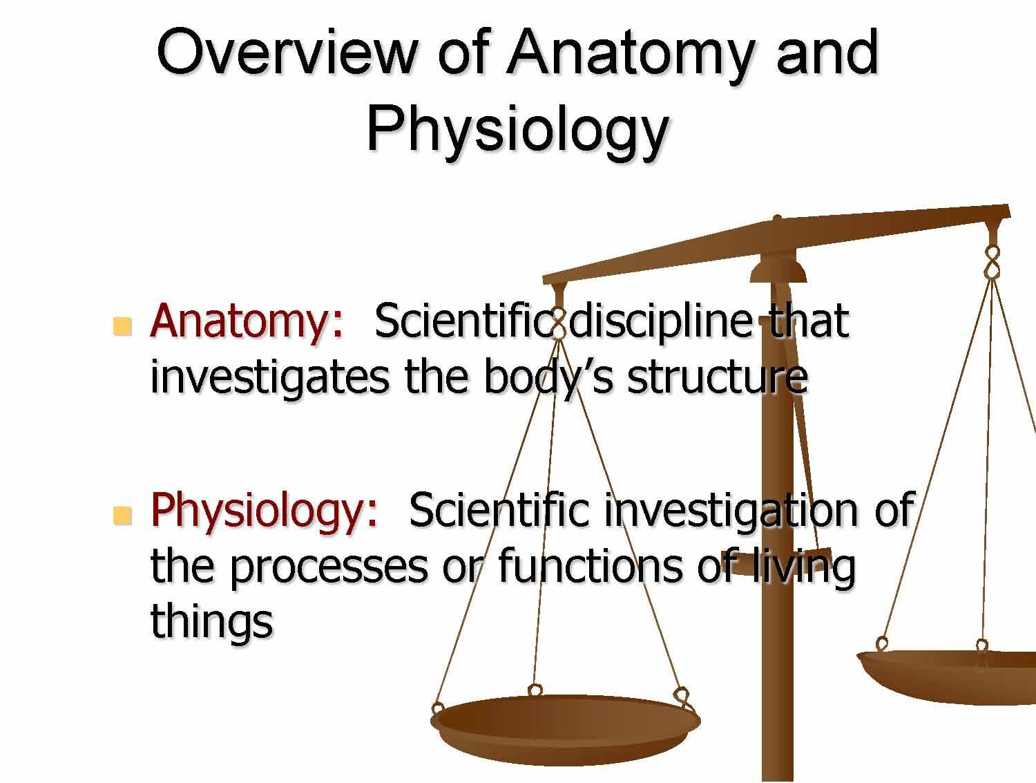 Human Anatomy and Physiology I