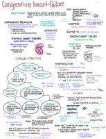 CongestiveHeartFailure-20141017_124343.pdf