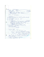 Week 2 Continued- The Sun Also Rises