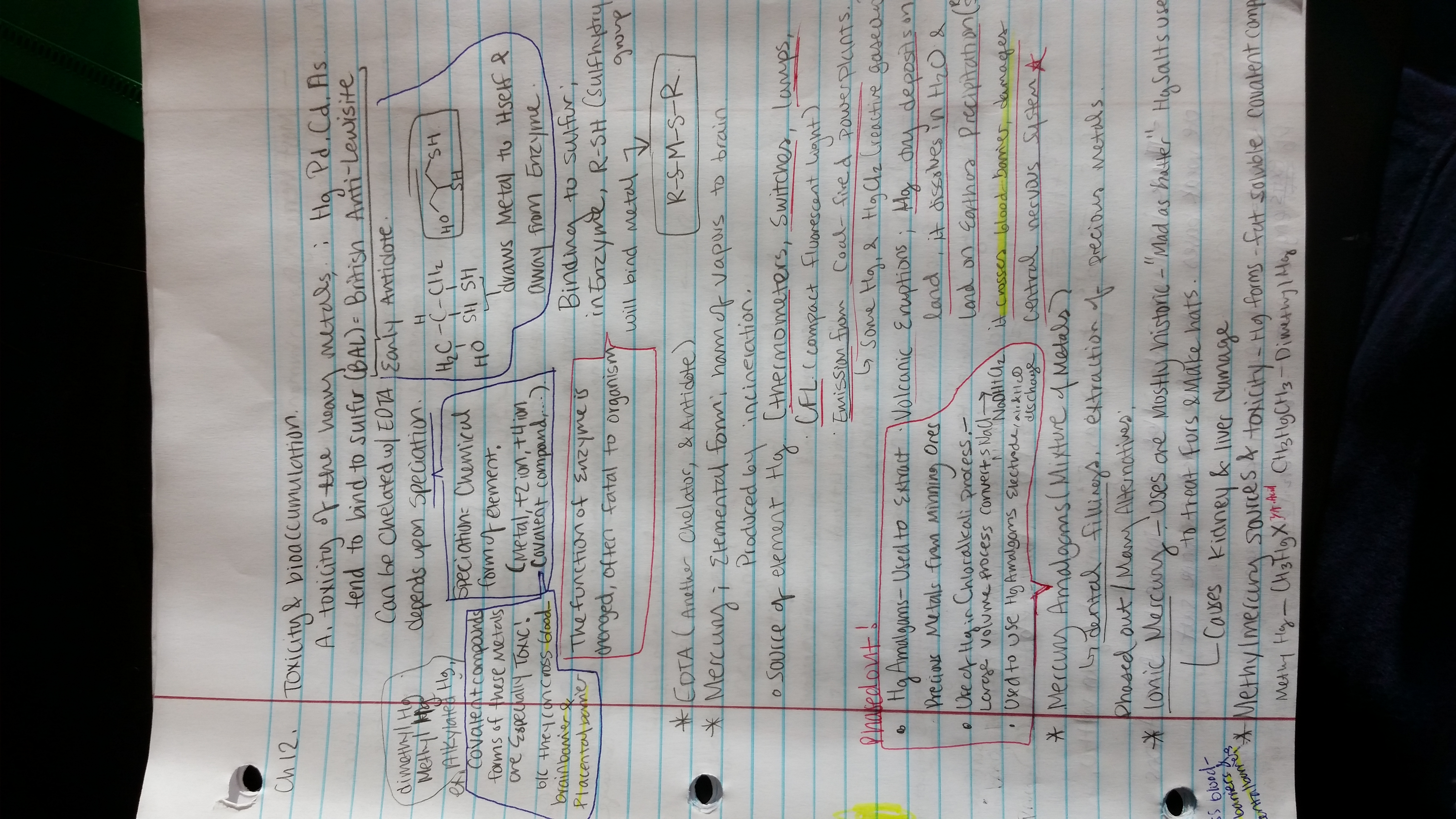 Exam 2 study